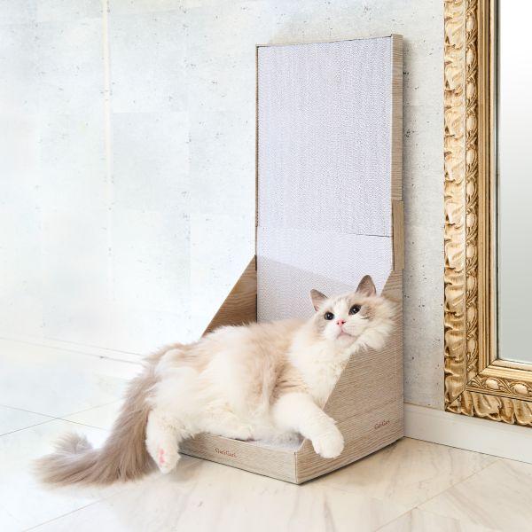 ガリガリスイート　ウォール 