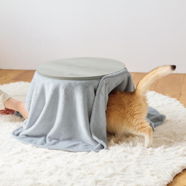 猫のためのくつろぎ木目こたつ　ヒーターレスタイプ 開けたまま固定ができて便利。布団部分はワンタッチテープで留められます。