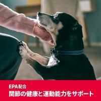 サイエンスダイエットプロ【お試しフード】小型犬用 健康ガード 関節 ７歳以上　