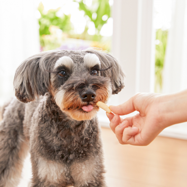 乳酸菌お米ビスケット（犬 無添加 クッキー） 
