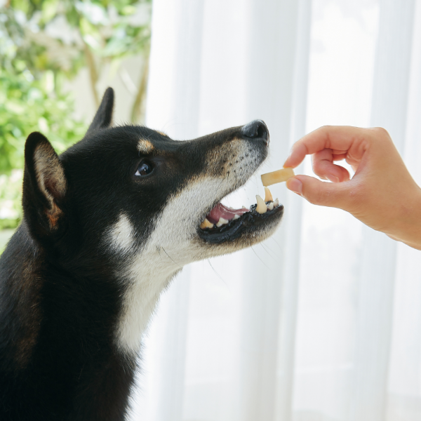 乳酸菌お米ビスケット（犬 無添加 クッキー） 