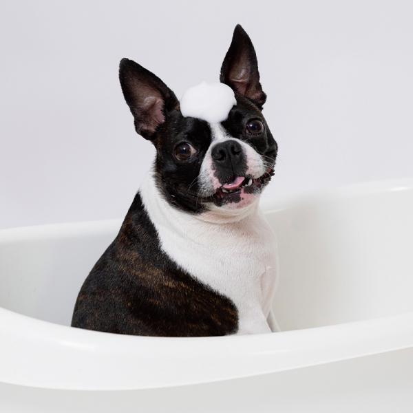 ファミリア ボタニカルシャンプー＆トリートメント 