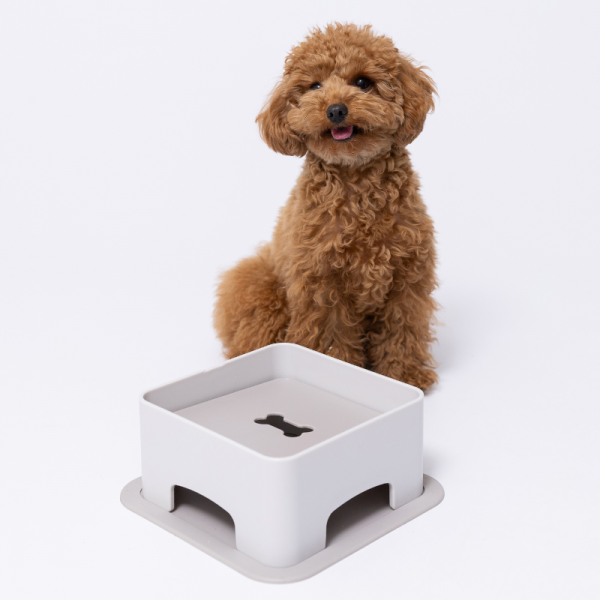 わんテーブル　グレー 