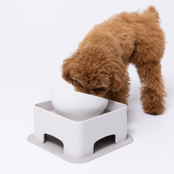 わんテーブル　グレー ※食器は付属しません。