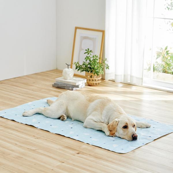 ひんやり涼感マット LL・パウダーブルー