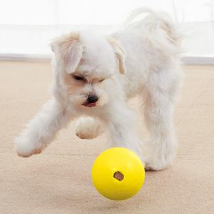 口コミ レビュー ウィキッドボール 犬用おもちゃ ペット用品の通販サイト ペピイ Peppy