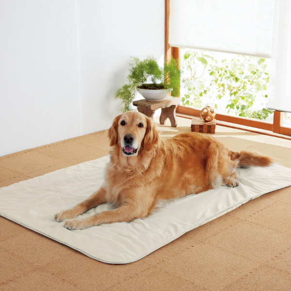 蒸れないふんわりクールマット（旧：蒸れないソフトクールマット） LL・シャンパンベージュ