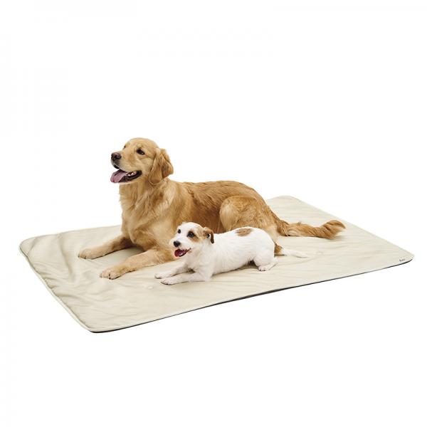 蒸れないふんわりクールマット（旧：蒸れないソフトクールマット） LL・シャンパンベージュ／モデル体重（奥）28kg、（手前）5.5kg