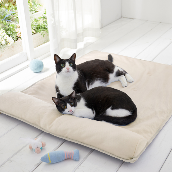 ★蒸れないふんわりクールマット・枕付き（旧：蒸れないソフトクールマット・枕付き） Lサイズ・シャンパンベージュ