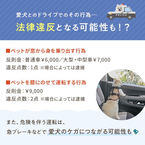 座ったまま景色が見えるドライブボックス（旧：ソファボックス） 