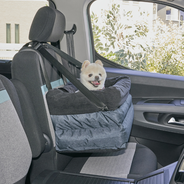 座ったまま景色が見えるドライブボックス（旧：ソファボックス） 