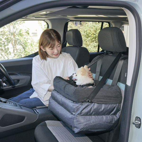 座ったまま景色が見えるドライブボックス（旧：ソファボックス） 高さがあるので目線も近く、安心できます。