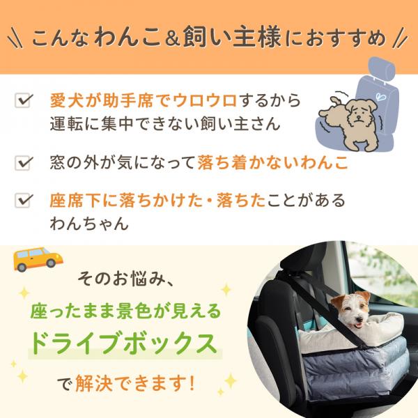 座ったまま景色が見えるドライブボックス（旧：ソファボックス） 