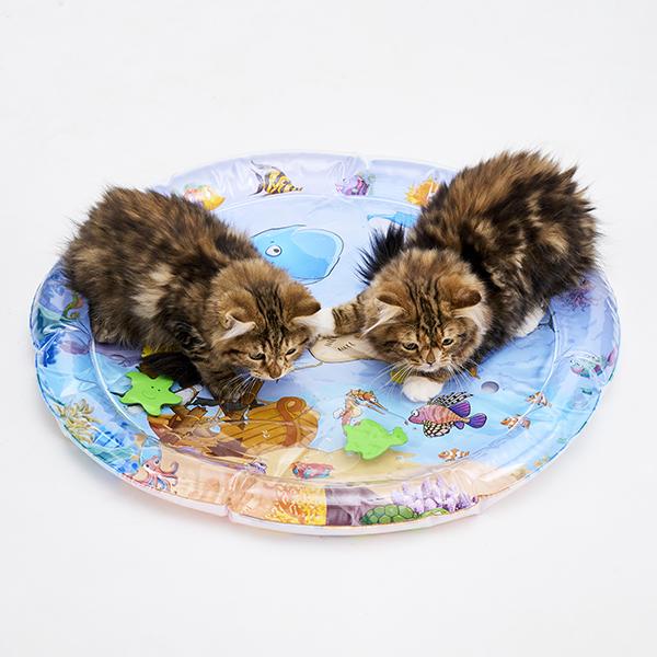 ゆらゆら☆ウォータープレイマット コレなぁにー？なんだろー？