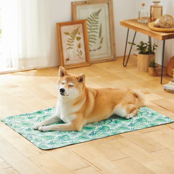 ひんやり涼感マット（新タイプ） L・リーフ