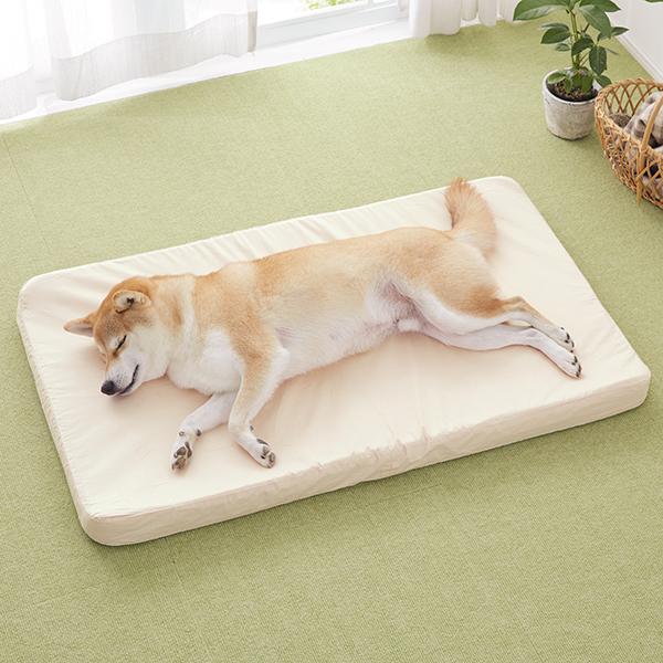 犬用床ずれ防止マットＬ　エクスジェルマット購入価格34100円