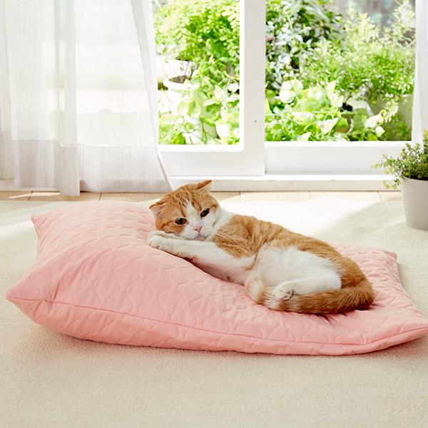 たまくら体位変換クッション ピンク／寝たきりの猫もソフトに包むサイズと感触です。