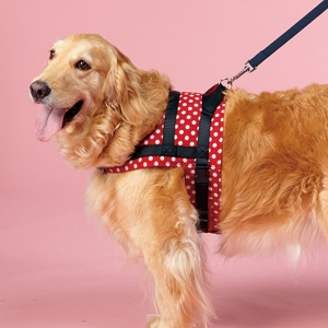 これがあれば心強い ペットのお出かけ便利グッズ