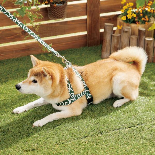 【PEPPY LIFE】ワンタッチリード 唐草グリーン （抗菌なし）※抜けにくいショルダーハーネスは別売りです。
