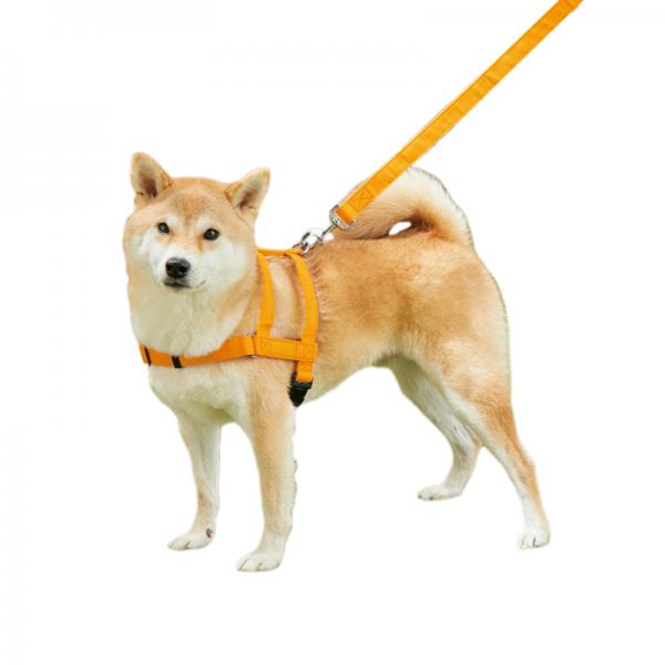 【PEPPY LIFE】抜けにくいショルダーハーネス ディープイエロー