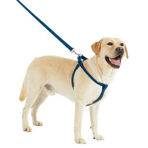 【PEPPY LIFE】抜けにくいスイングハーネス