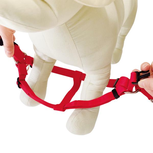 【PEPPY LIFE】抜けにくいスイングハーネス 足を通して背中で留めるワンタッチタイプ。