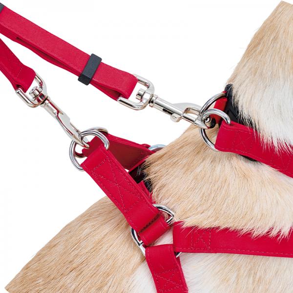 【PEPPY　LIFE】２ＷＡＹダブルナスカンリード 首輪とハーネス両方に繋げられます。