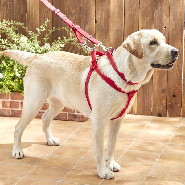 【PEPPY　LIFE】２ＷＡＹダブルナスカンリード カーマインレッド※ハーネス・首輪は別売りです。
