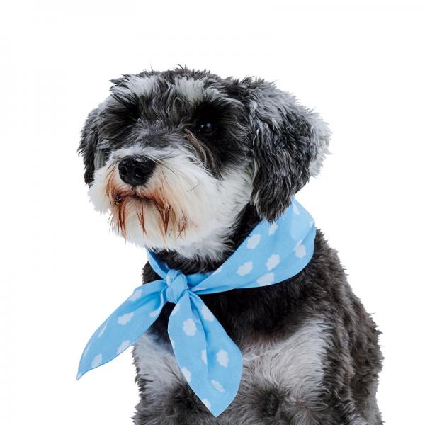 ネッククーラー　コットン 雪柄ブルー