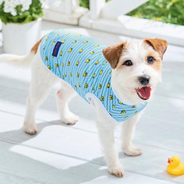 ダックメッシュタンク ブルー/Lサイズを着用/モデルサイズ：43㎝