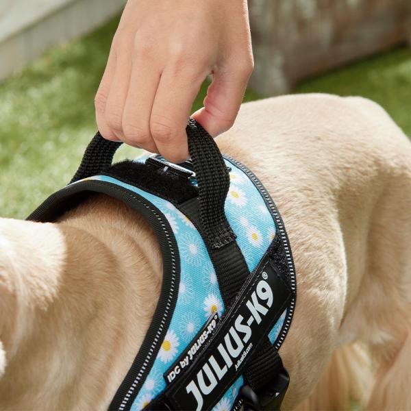 ユリウスＫ９　ＩＤＣパワーハーネス ブルーフラワー／ハンドルで制御できます。