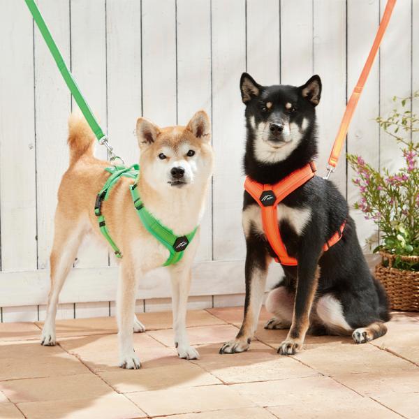 ハクサン　コンフォートゼロハーネス （左）グリーン×グリーン、（右）オレンジ×オレンジ