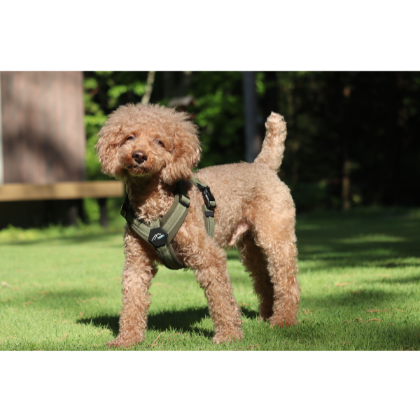 ハクサン　コンフォートゼロハーネス カーキ×グリーン