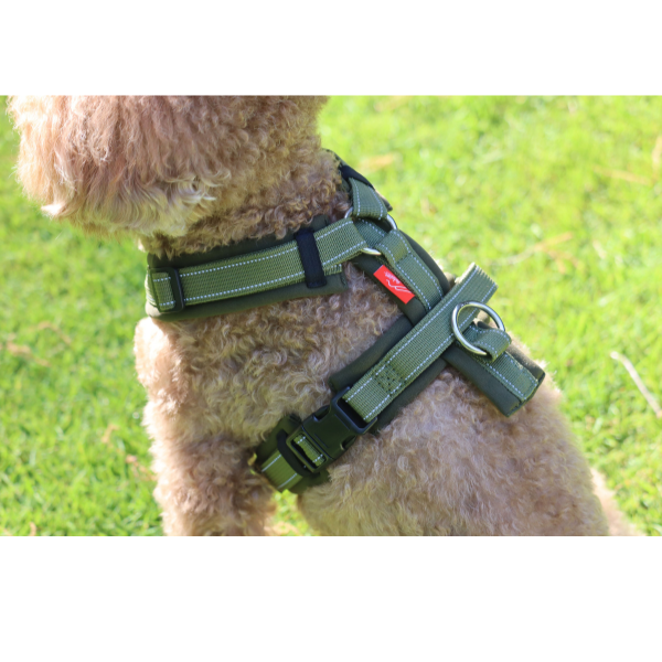 ハクサン　コンフォートゼロハーネス カーキ×グリーン