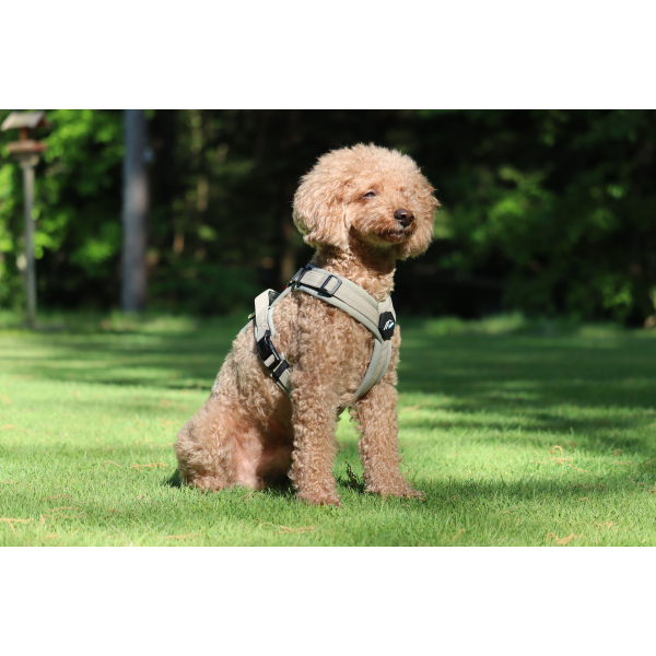 ハクサン　コンフォートゼロハーネス タン