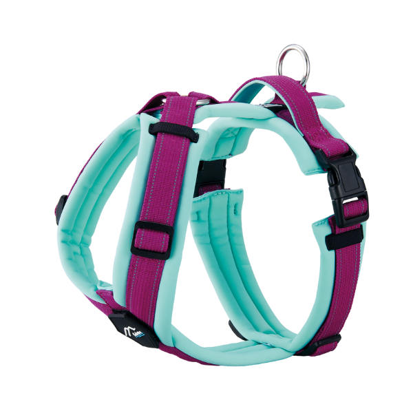 ハクサン　コンフォートゼロハーネス ミント×パープル