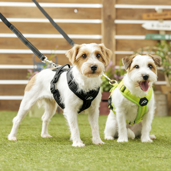 ハクサン　コンフォートゼロハーネス 左：ブラック / 右：ライム×ライム