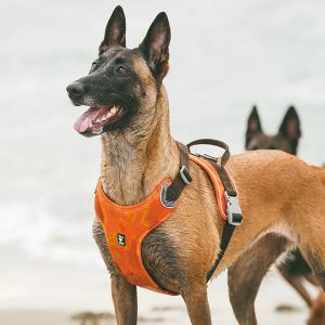 首輪 ハーネス リード クッション 犬用品 ペット用品の通販サイト ペピイ Peppy