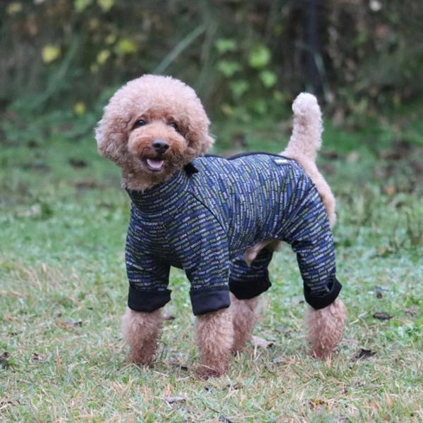 ラティア×ハクサン　オーバーオール グラフィコブルー