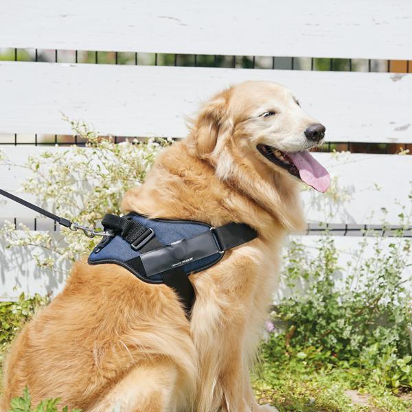 ユリウスＫ９デバイスホルダー Mサイズ