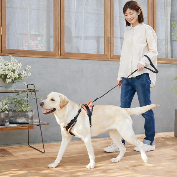 ユリウスＫ９ロングウォークハーネスライト フラワー ※リードは付属しておりません。