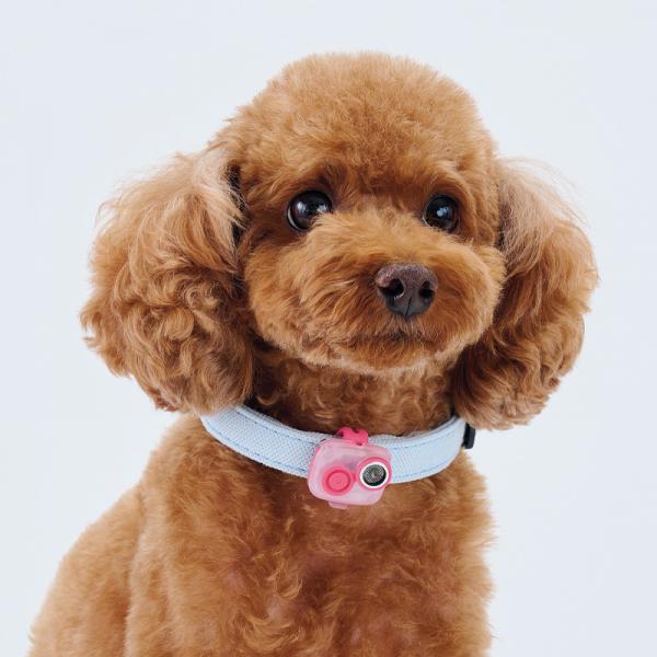 サウンドシールド ミニ・ローズピンク