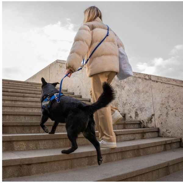 ユリウス　グリップリード・アジャスタブル ブルー ※ハーネスは別売