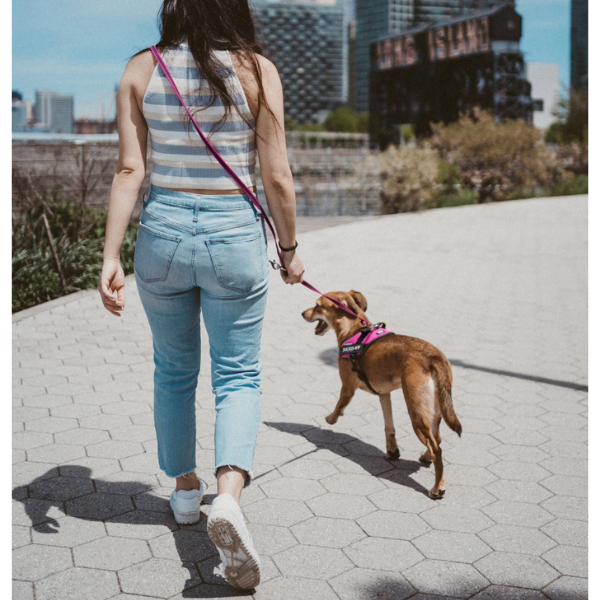 ユリウス　グリップリード・アジャスタブル ピンク ※ハーネスは別売