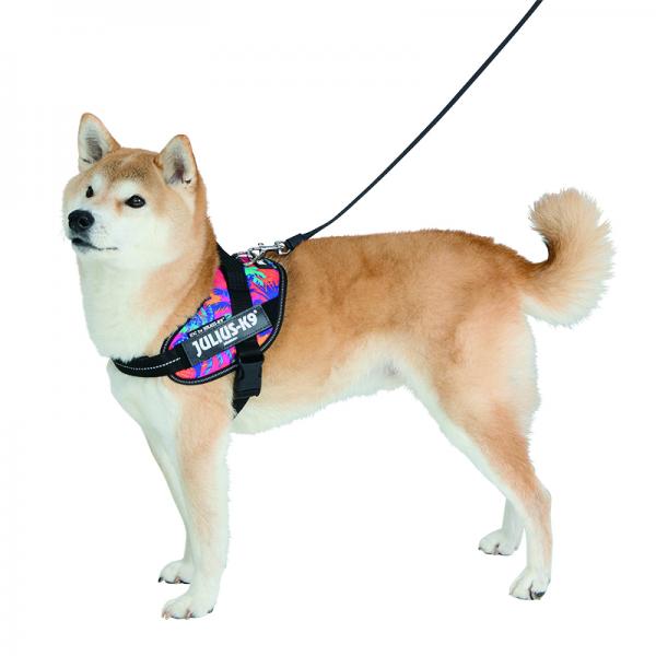 ユリウスＫ９　ＩＤＣパワーハーネス　限定柄 バイブ