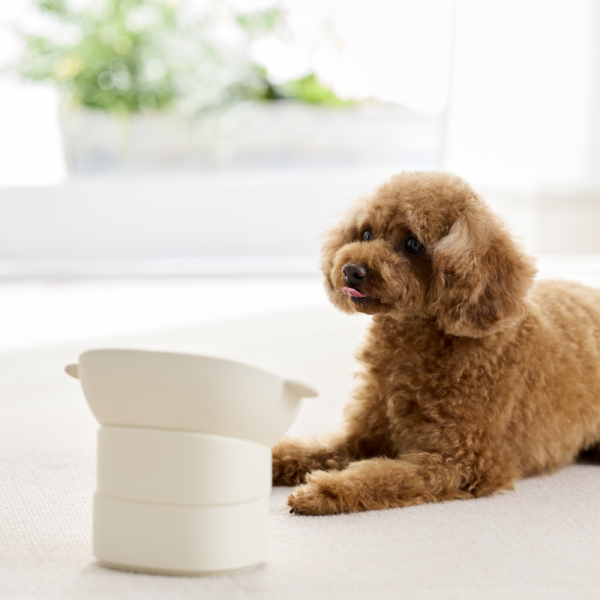 角度を調節できるシリコンフードボール 本体・ミルク