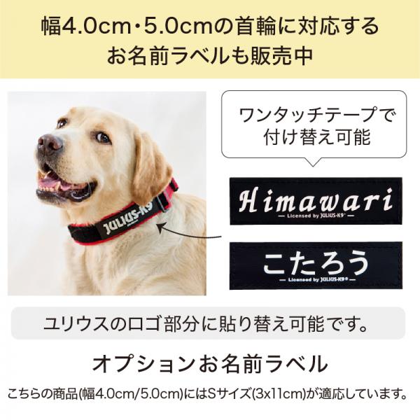 ユリウスＫ９  カラー＆グレイ首輪 