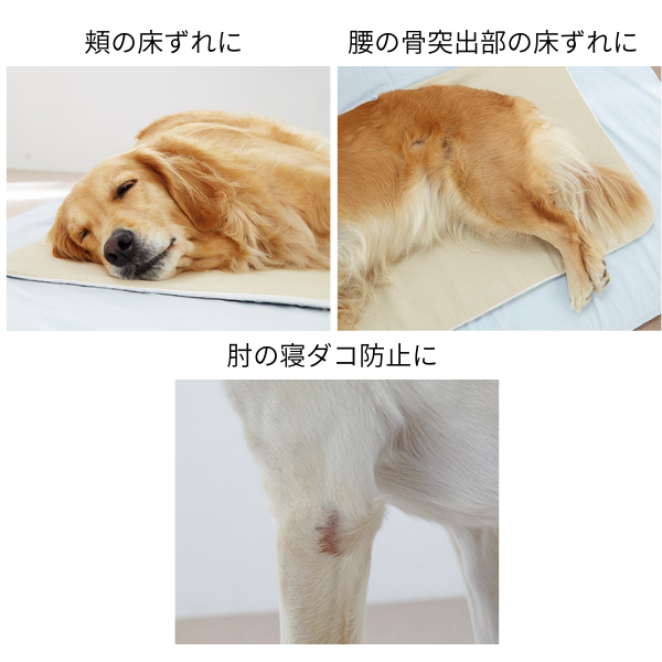エクスジェルマット (犬 床ずれ予防) 気になるところ、症状が進んでいるところに部分使いできる