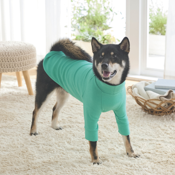 【マンダリンブラザーズ】スキンタイトウォームＴシャツ ミント （バスト57のサイズを着用/モデルサイズ：バスト57cm）