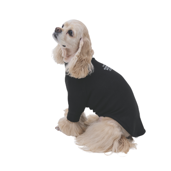 【マンダリンブラザーズ】スキンタイトウォームＴシャツ ブラック （バスト50のサイズを着用/モデルサイズ：バスト50cm)